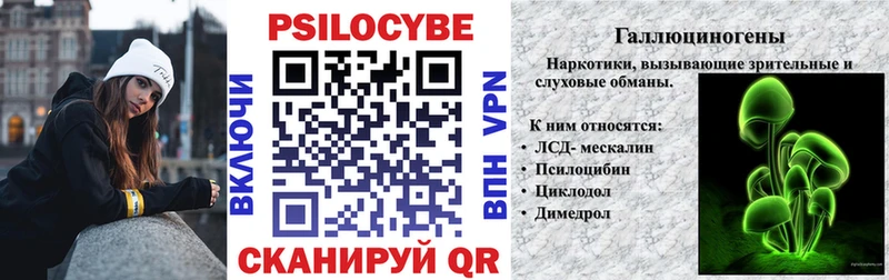kraken рабочий сайт  Шебекино  Галлюциногенные грибы прущие грибы 